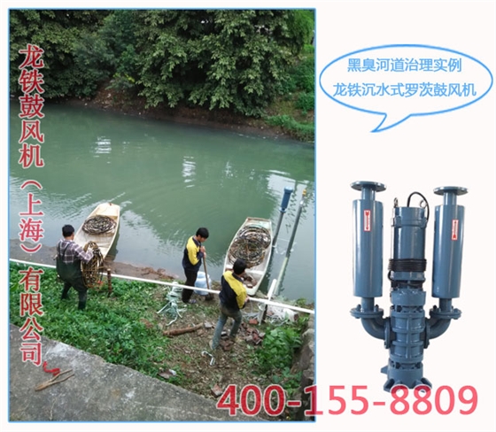 黑臭水体治理 黑臭水体治理