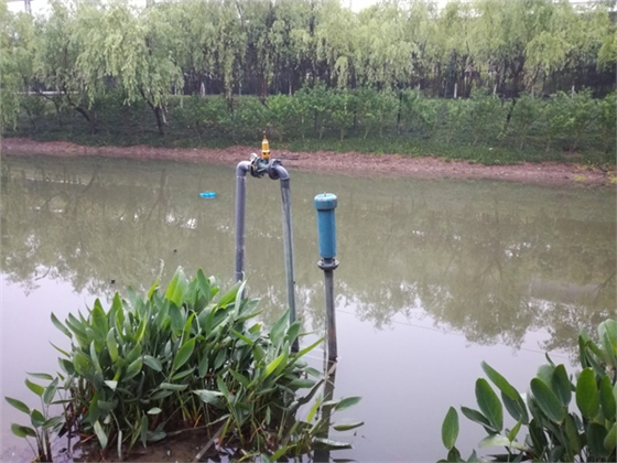 沉水风机治理黑臭水体
