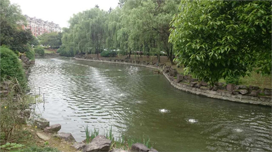 沉水风机应用于河道治理