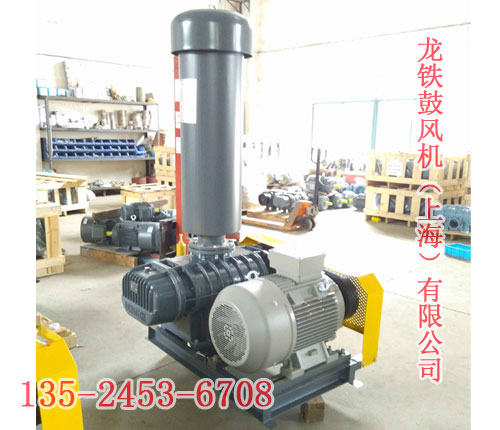 天然气专用罗茨鼓风机 天然气专用罗茨鼓风机