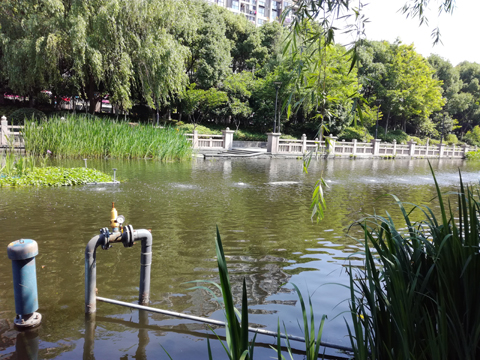 沉水风机案例1 沉水风机案例1