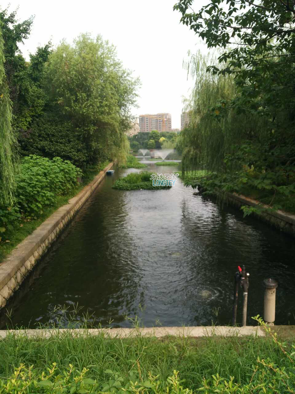 河道治理罗茨风机 河道治理罗茨风机