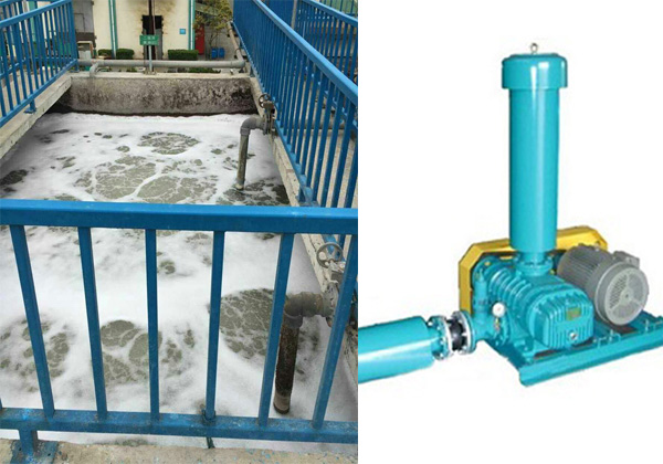 污水处理罗茨鼓风机7.11.jpg 污水处理罗茨鼓风机7.11.jpg