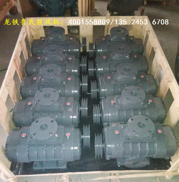 三叶鲁氏鼓风机选型.jpg 三叶鲁氏鼓风机选型.jpg