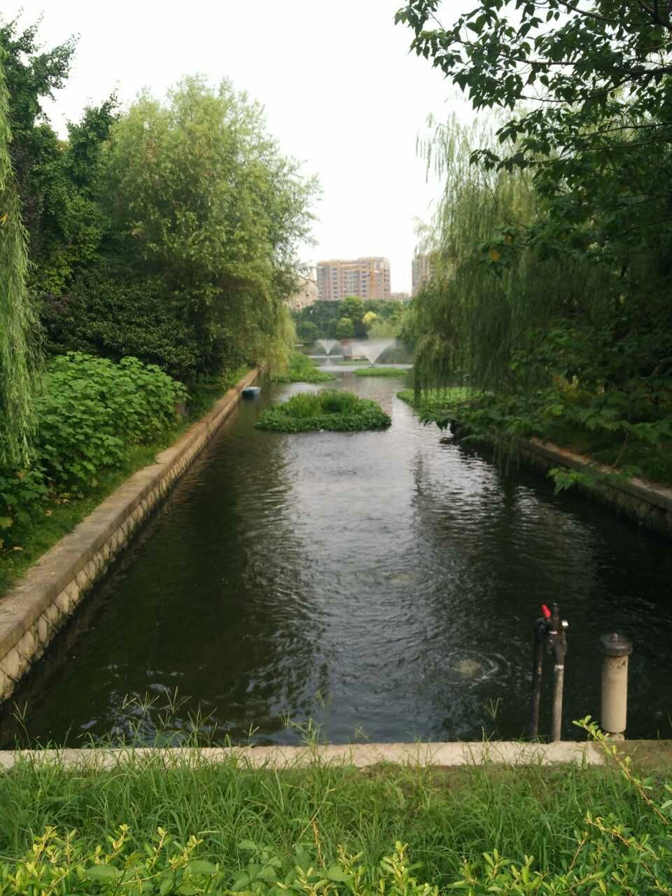 mmexport1468313090376.jpg mmexport1468313090376.jpg