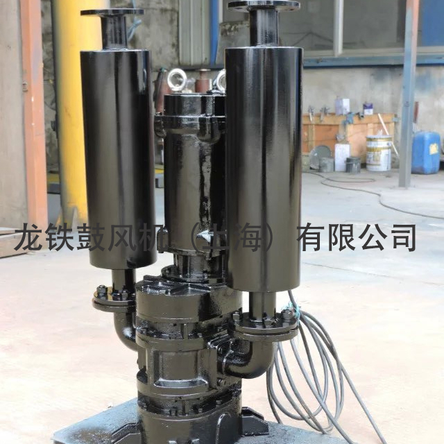 龙铁沉水1.jpg 龙铁沉水1.jpg