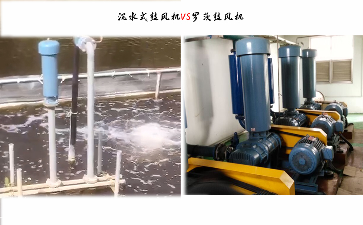 沉水式鼓风机在水处理行业中的优点pg 沉水式鼓风机在水处理行业中的优点pg