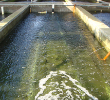 鲁氏污水处理成功案例