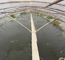 鲁氏污水处理成功案例