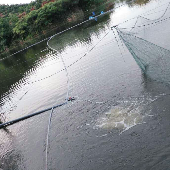 微孔曝气增氧机养殖户使用现场 微孔曝气增氧机养殖户使用现场