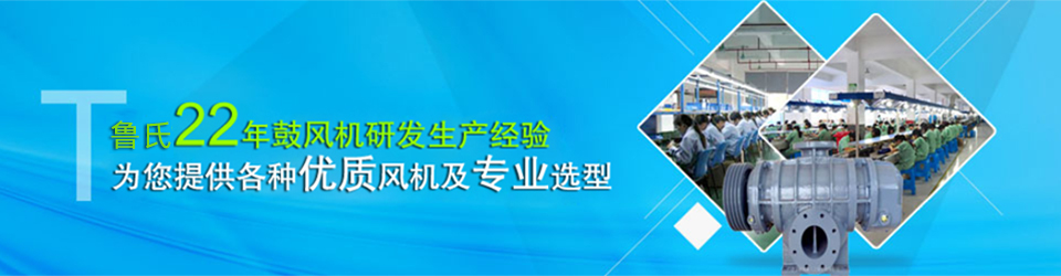 22年鼓风机研发生产经营