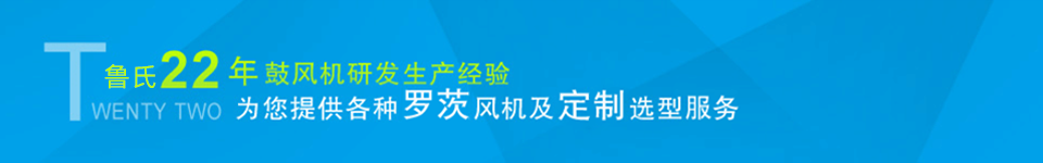 龙铁鼓风机--中国罗茨鼓风机供应商